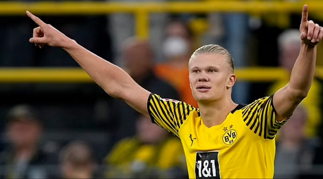 全明星投票通道开启